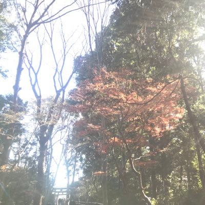 熊本の自然を守りたい人's profile picture