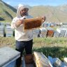 İdris HATİPOĞLU's profile picture
