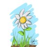 Profilbild von bunga hati ✿