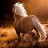 akr don akr don profil fotoğrafı