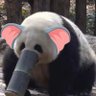 Profilbild von 小伙伴们逗起来
