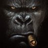 Фото профиля Son of a treasonous CRIMINAL