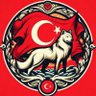 Profilbild von єmrαh gültєkín 🇹🇷