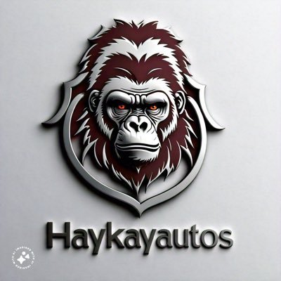 HAYKAYAUTOS's profile picture