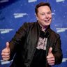 toda hora pedindo emprego pro Elon Musk 的头像