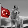 Profilbild von VATAN 🇹🇷
