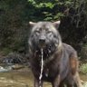 Profilbild von SAHBABA