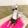 포카포카's profile picture