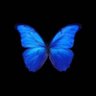 tearsofheaven🦋's profile picture