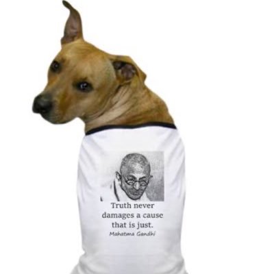 JICHOdaDOG's profile picture