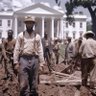 Black American 🇺🇸 profil fotoğrafı