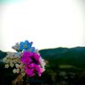 -ZAGROS- profil fotoğrafı