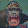 Profilbild von T. M. Brute