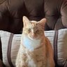 Фото профиля Tiggersmom