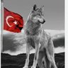 Zübeyde Hanım 的头像