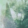 ミドリー🪞 profil fotoğrafı