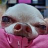 Chompoo JebJeb's profile picture