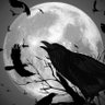 Ethernity 的头像