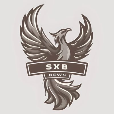 SXB NEWS's profile picture