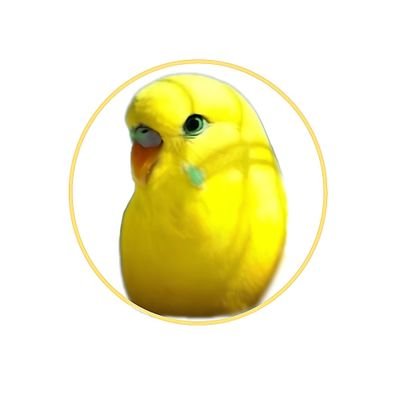 mubisgiller's profile picture