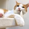ゆきねこ3's profile picture