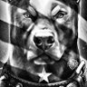 Profilbild von Botafoguense de Raça