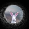 @TejasScoundrel🇺🇸🇮🇱 profil fotoğrafı