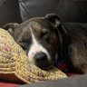 Mabel's profile picture