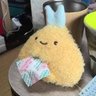 Profilbild von でーどら（ラクマ・メルカリ用）