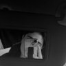 سـ's profile picture