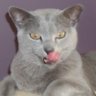 Terry D.'s profile picture