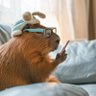 全民献忠时代到了 的头像