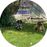 Z profil fotoğrafı