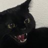 Profilbild von lil moody