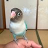 Фото профиля ひかる