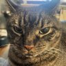 Profilbild von BlazenCA_91