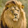Bharat2024's profile picture