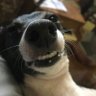 Ron Anderson's profile picture