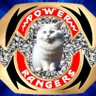Фото профиля Ranger Putih