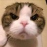 Profilbild von Luke