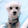 Profilbild von 田口ゆみ
