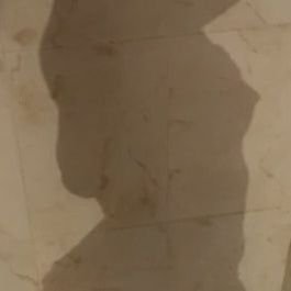 TmtTampico's profile picture