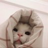 عبير¹⁵ 𓂆 profil fotoğrafı