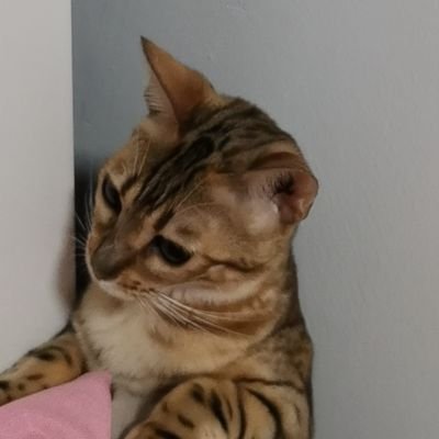 kmmmQAQ's profile picture