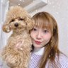 阿部幸江🌸Sachie Abe's profile picture