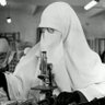 Sibaveyh Hammadi's profile picture