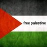 hameed hashesh's profile picture
