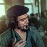 محمد مجیب's profile picture