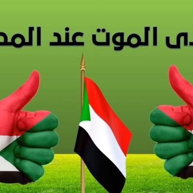 ABDELAZ12355888's profile picture