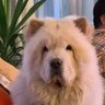 cico1968cico's profile picture